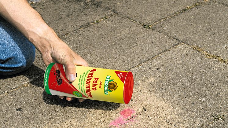 Las plagas de hormigas en la casa, caminos, terrazas y otros espacios se pueden controlar con rapidez con Loxiran®Polvo Antihormigas de Neudorff. 