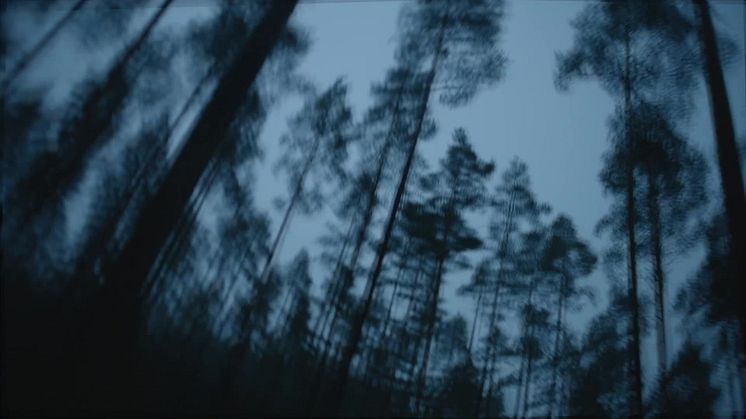 Haugtussa