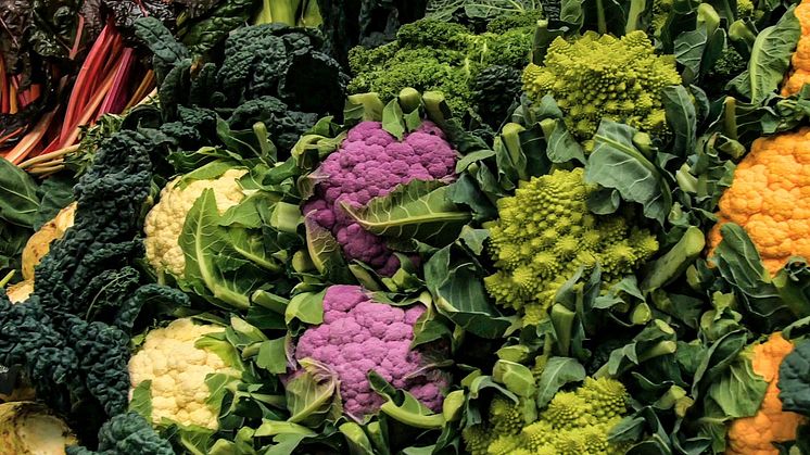 Cruciferous Vegetables’ Weight Loss Benefits