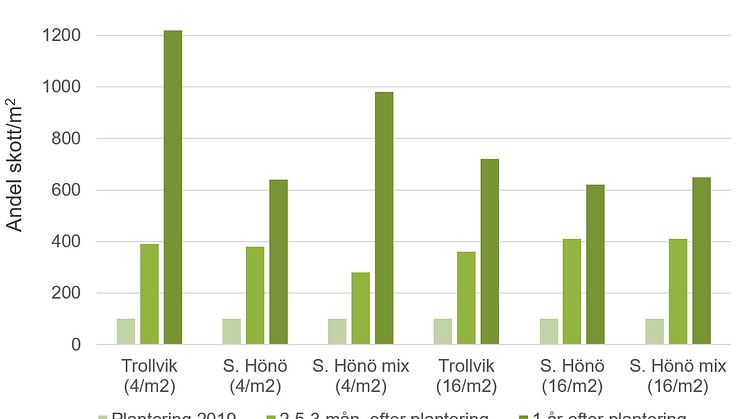 plantering statistik.jpg
