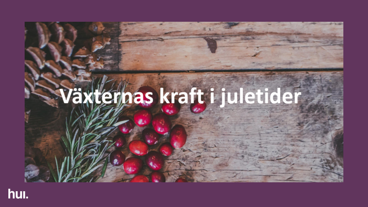 Växternas kraft i juletider - Sverige.pdf