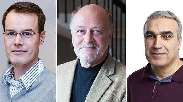 Forskare vid Högskolan i Jönköping