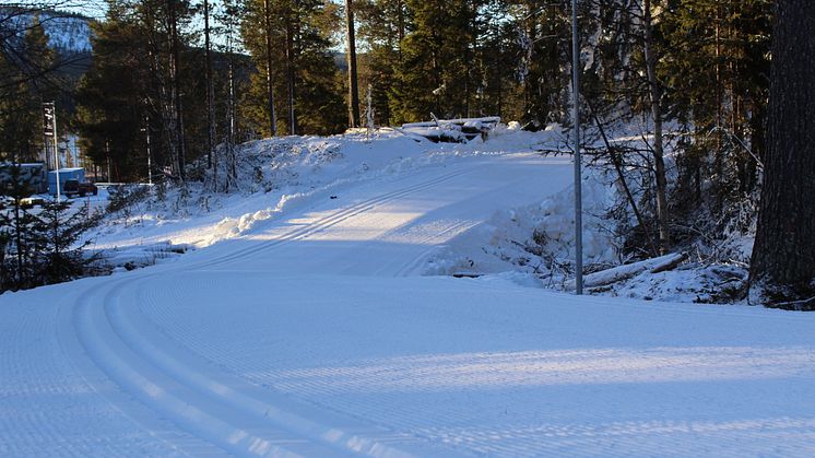 Lofsdalens konstsnöspår