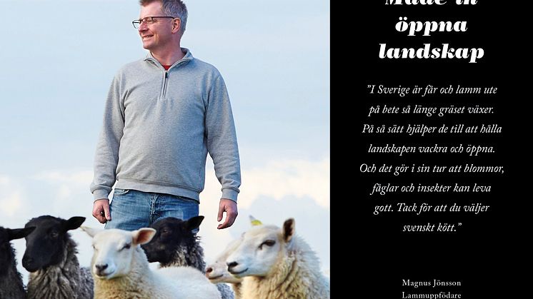 Annons Magnus Jönsson, Östra Sallerup, Hörby