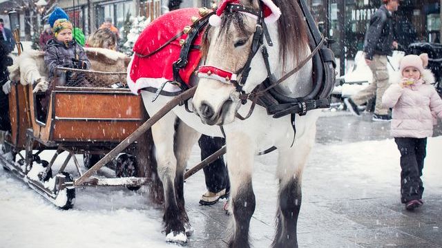 Kanefart med hest og slede fredag og søndag i Julefestivalen.jpeg