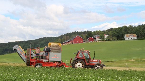 Inntektene stuper i jordbruket