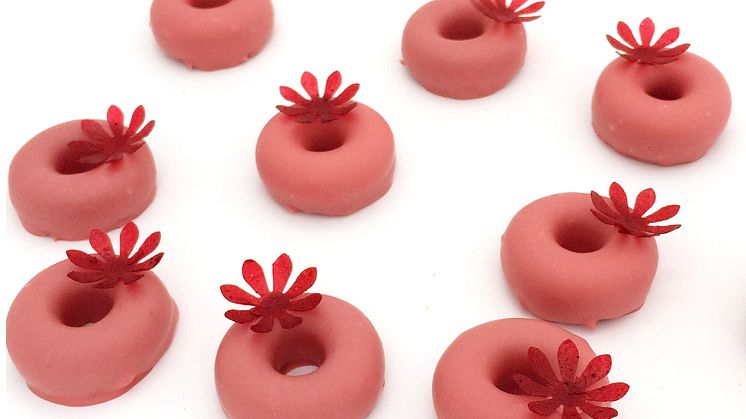 Årets Konditor Rödavinbärsganache