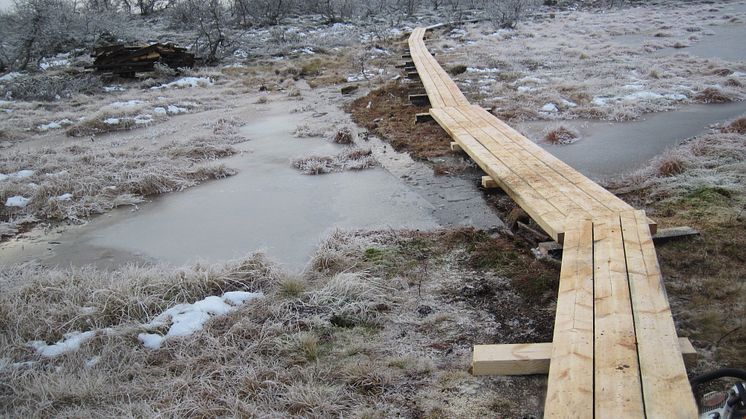 Nya naturvårdssatsningar i Dalarna