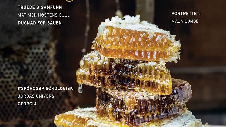 REN MAT Nr. 33: Honningbier. Foto: Nadin Martinuzzi