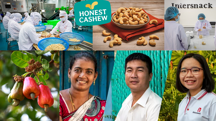 Honest Cashew_mini