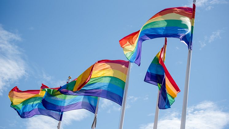 Så ska WorldPride och EuroGames i Malmö genomföras på ett smittsäkert sätt