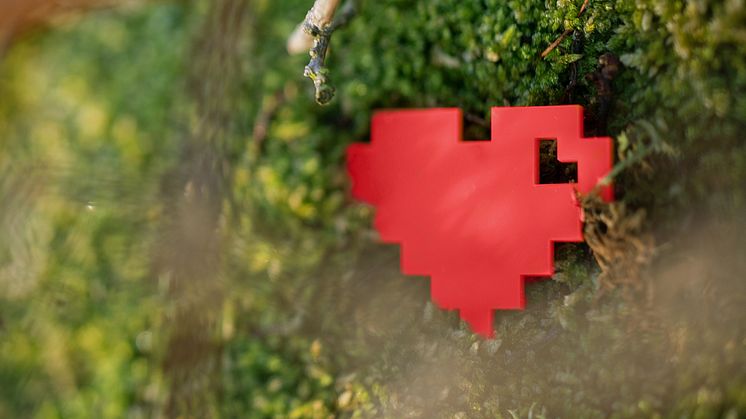 Internetstiftelsens nya kunskapssatsning erbjuder kunskap om hur vårt internetanvändande och digitaliseringen påverkar miljö och klimat.