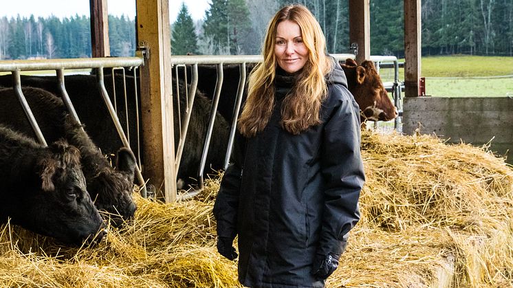 Isabel Moretti, VD Svenskt Kött