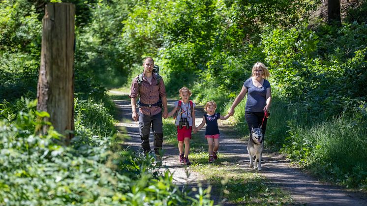 Wandern im Erzgebirge - Natur pur (Foto TVE/Uwe Meinhold)