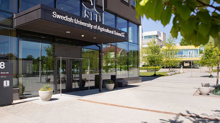 SLU_240522_7246_jsg.jpg
