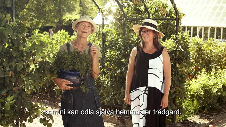 Odla hälsa - en förhandstitt