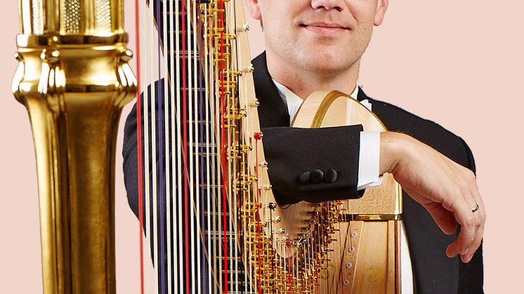 Groenestein-Hendriks Erik harpa
