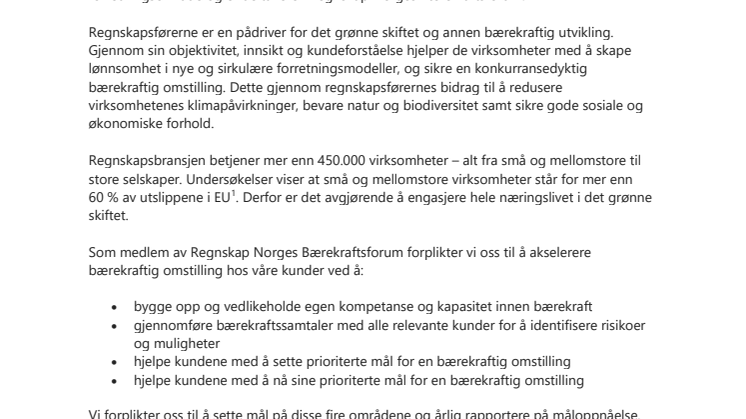 Regnskapsbransjens bærekraftsforpliktelse.pdf