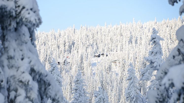 Sälen 10 november 2016