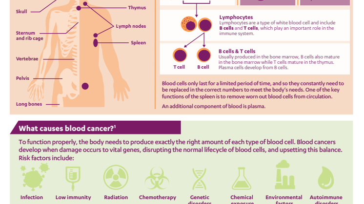 EMEA Janssen Blood Cancer Infographic
