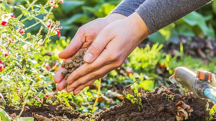 Biodünger mit Langzeitwirkung schafft bessere Erträge