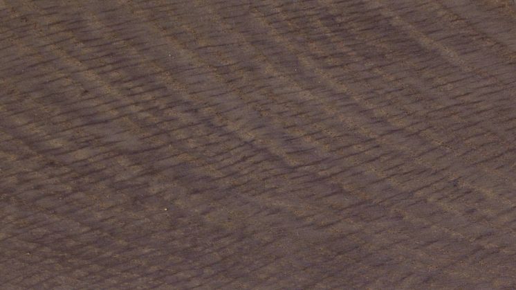 Timberex Active Stain  Dark Grey