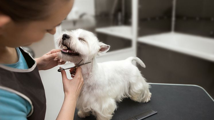 Fressnapf Salon Baar