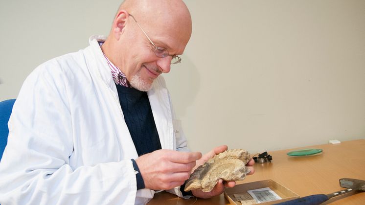 Naturhistoriska riksmuseet får tillskott i sin expertpanel - möt jourhavande paleontolog