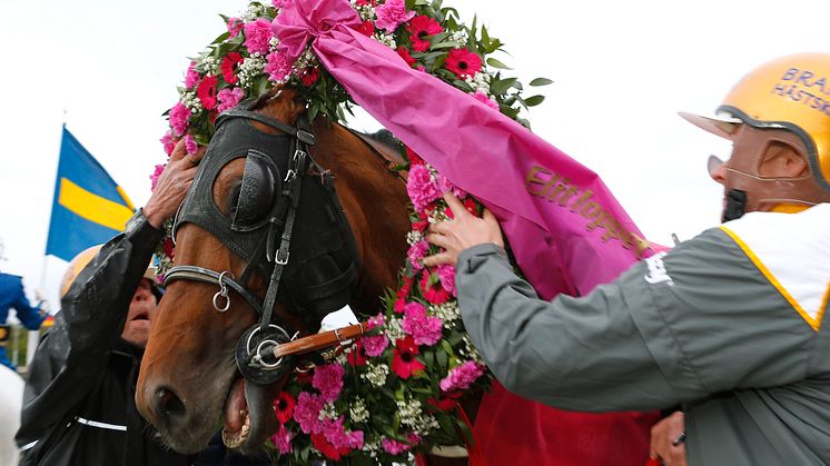 Elitloppet direktsänds i TV4 klockan 20.00