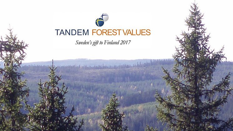 First call for Tandem Forest Values applications is launched on Finland's 100 year anniversary. Photo: Ylva Nordin.