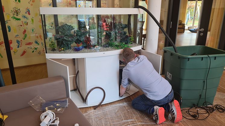 Buntes Aquarium im Kinderhospiz erfreut Kinder, Gäste und das Bärenherz-Team