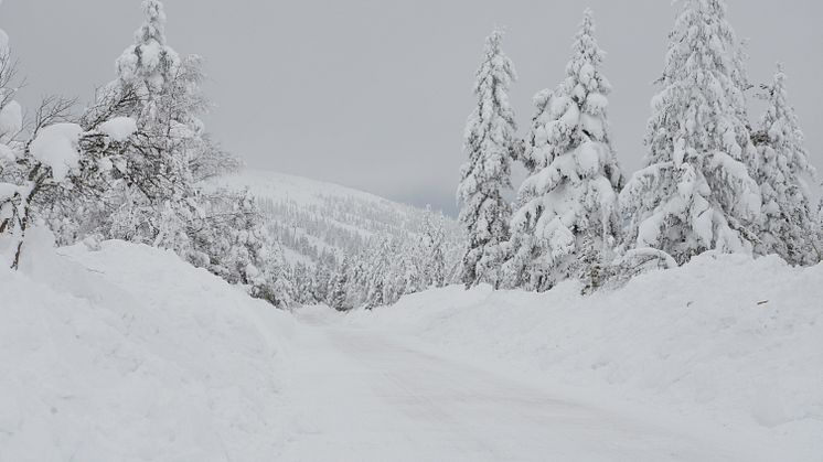 FJELL