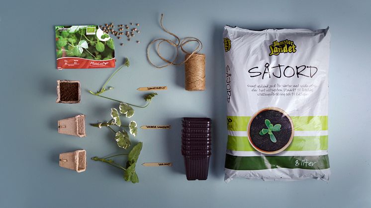 Sticklingar och tillbehör
