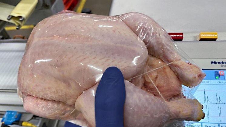 huhn_upscaled.jpg