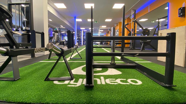 Gymleco_Flex_Fitness_sled.jpg