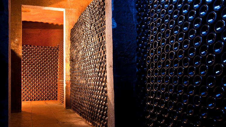 Borgognos välfyllda källare i Barolo