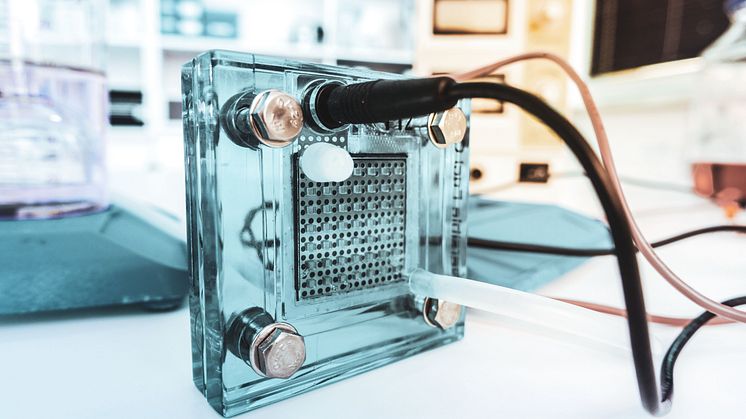 bipolar plates for fuel cells
