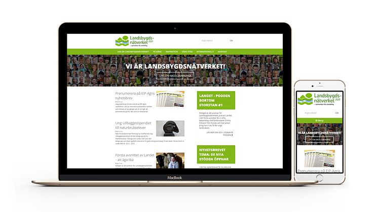 De byggde Landsbygdnätsverkets nya webb