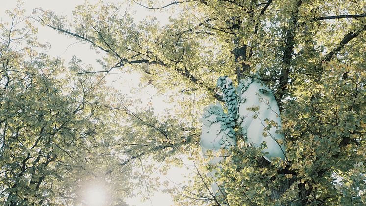 Trädens hemliga värld i Folkets Park är en äventyrsvandring visualiserar några av trädens många funktioner. Foto: Pierre Ekman 