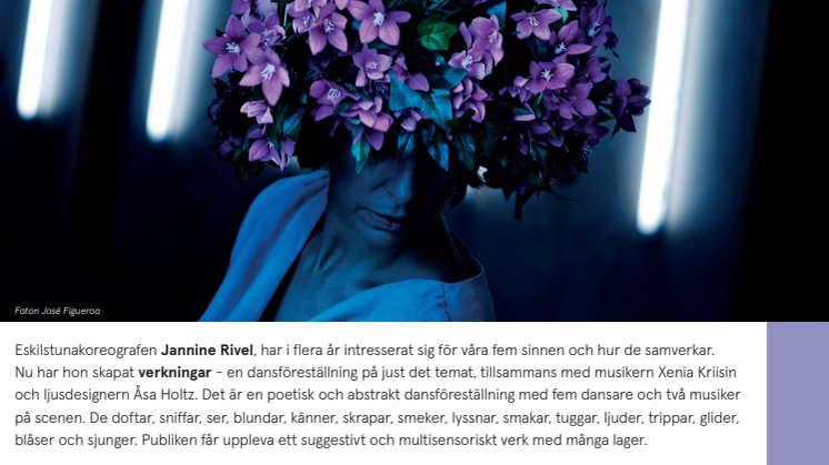 verkningar - en föreställning med sinnena