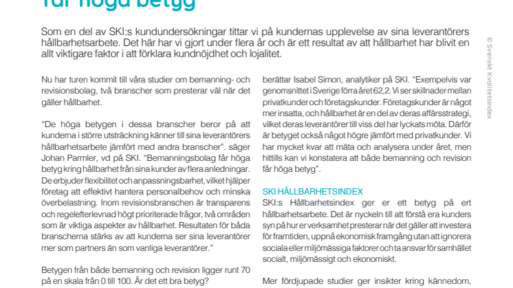 Mall SDI Bemanning och Revision.pdf