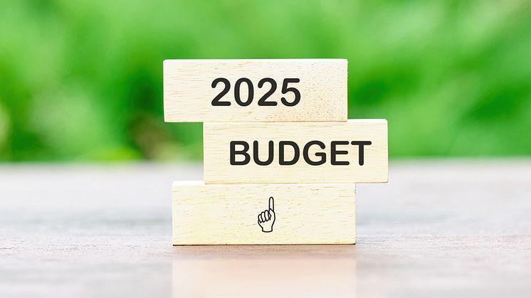 budget-2025.jpg