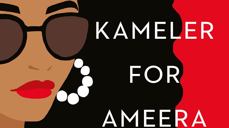 Ti_kameler_for_Aamera.jpg