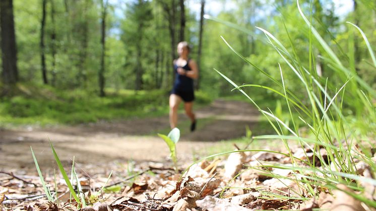 Trailvasan 10 genomförs för första gången på plats i Vasaloppsarenan under Vasaloppets sommarvecka 2022.