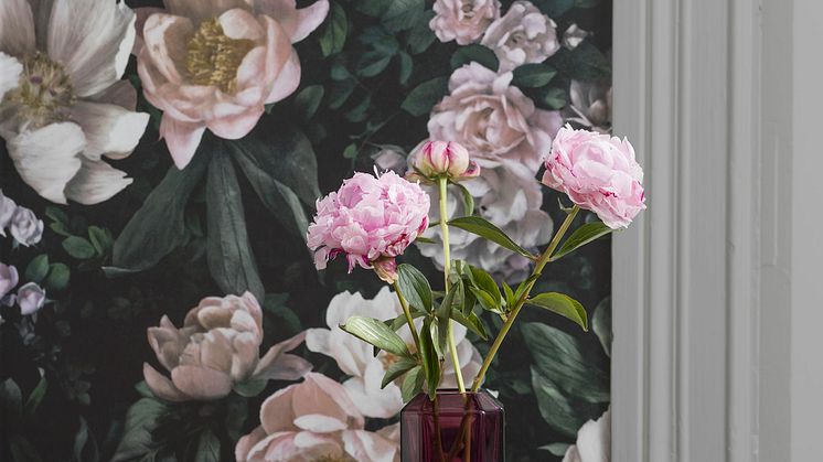 BT_inBloom_7234_NewDownRose_detalj_1_LR