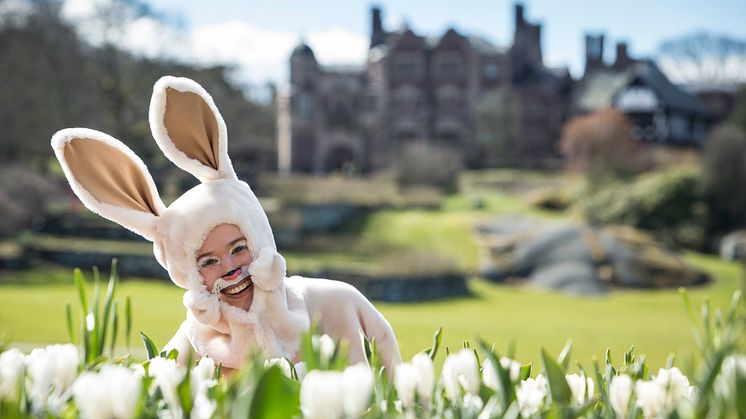 Påskeharen på besøk på Tjolöholm Slott i Halland. Foto: Will Rose 