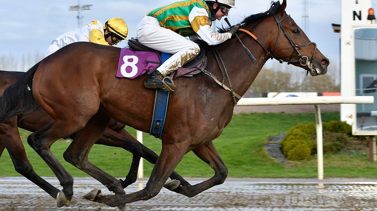 Johnnybegood vinner på Jägersro 2017