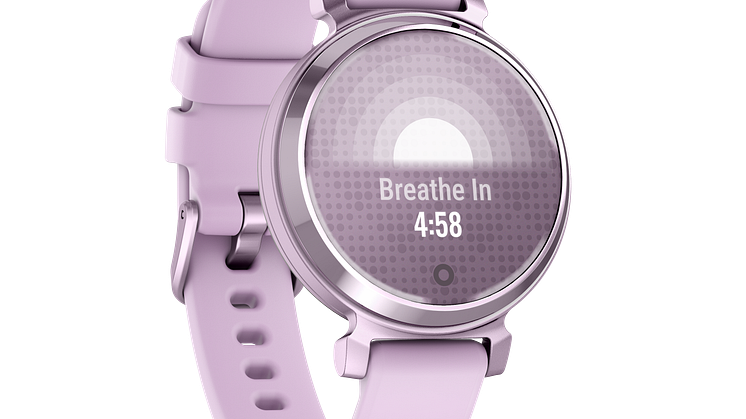 010-02839-01_05_Lily2_HR_2002_Breath-Widget