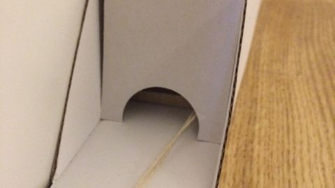 Musfälla i box