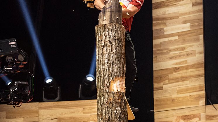 STIHL TIMBERSPORTS
